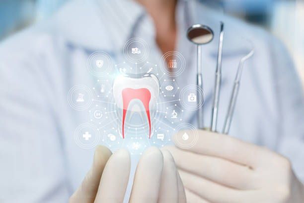 Best Traditional Braces  in Spring Valley, MN